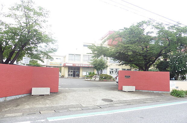 川口市立芝樋ノ爪小学校（260m）
