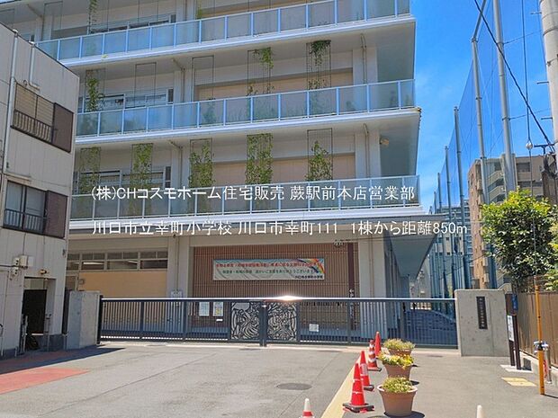 川口市立幸町小学校(850m)