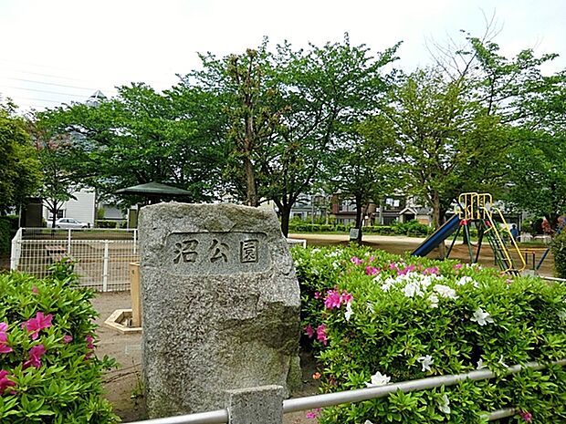 沼公園　（260m）