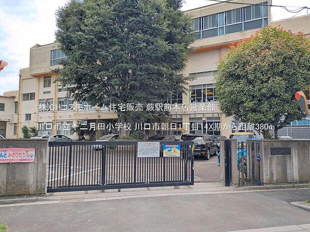 川口市立十二月田小学校（380m）