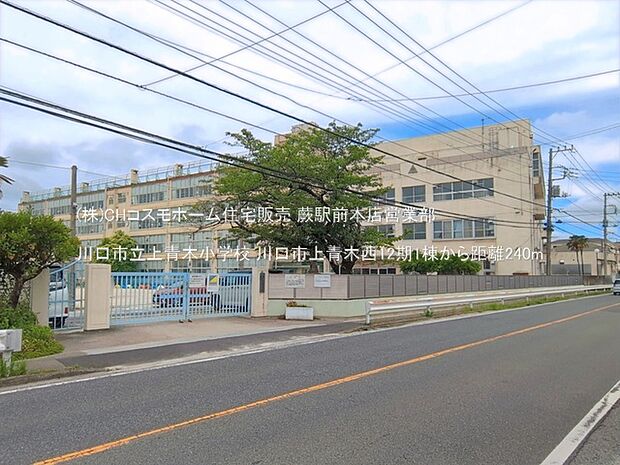 川口市立上青木小学校（240m）