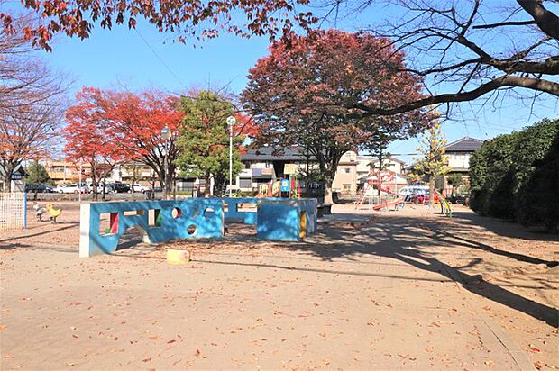 根木橋公園（550m）