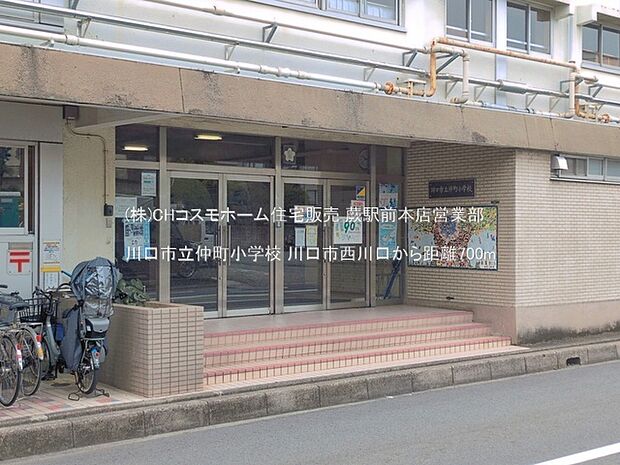 川口市立仲町小学校（700m）