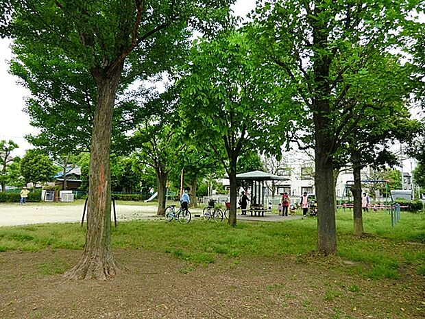 細沼公園  （310m）