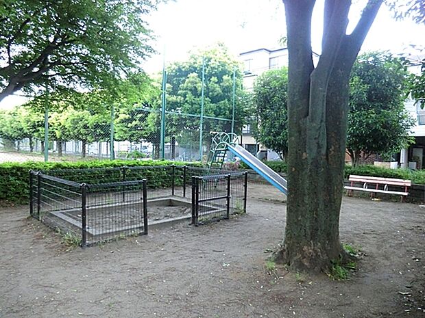 青木4丁目公園(220m)
