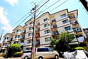 佐井寺ハイツ 4階 築49年1ヶ月の賃貸物件