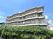 リバーパークアイワ 3階 築51年10ヶ月の賃貸物件