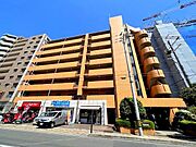 ルノーブル 8階 築33年9ヶ月の賃貸物件