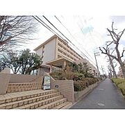 山田駅より徒歩15分 5階 築41年2ヶ月の賃貸物件