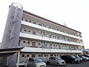 太陽ハイツ 1階 築49年10ヶ月の賃貸物件