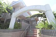 チェリーハイツ 2階 築31年4ヶ月の賃貸物件