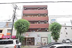 ムーンライト大桐