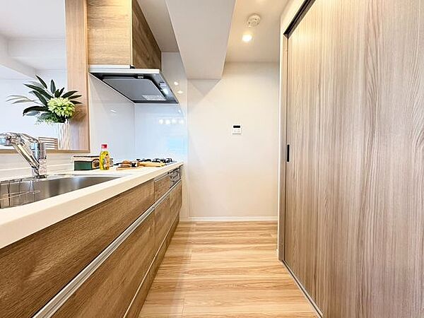 新規交換済みの使いやすいシステムキッチン