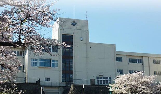 栗原市立築館小学校 徒歩12分(974m)