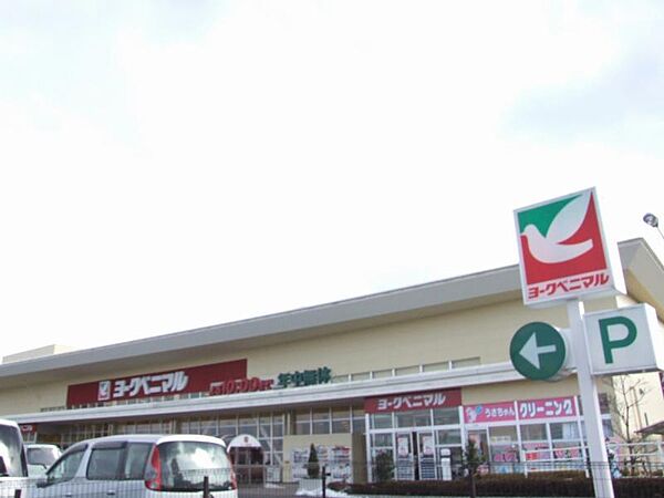 ヨークベニマル南中山店　徒歩23分（1799m）