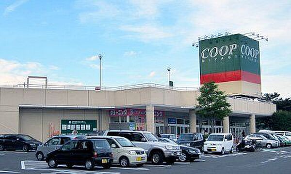 スーパー みやぎ生協 桜ヶ丘店　徒歩14分（1087m）