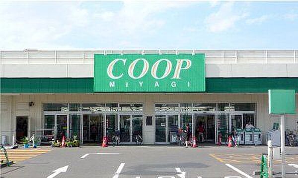 スーパー みやぎ生協南小泉店　徒歩10分　721ｍ