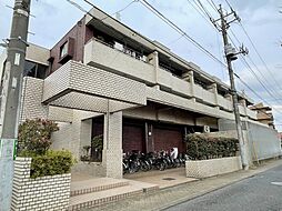 ディラヴェール田柄