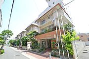 シャトー若杉 5階 築41年7ヶ月の賃貸物件