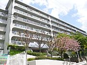 桃山台駅より徒歩15分 5階 築50年6ヶ月の賃貸物件