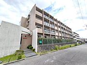 プリムベール向丘 1階 築31年5ヶ月の賃貸物件