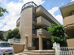 ディンクス黒髪