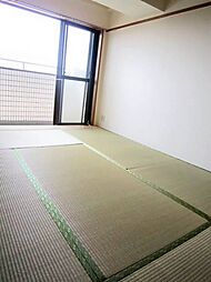 サンセピア 1LDKの写真