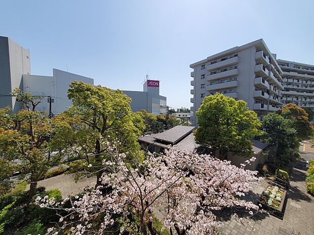 桜の木が目の前にあり、春にはお部屋からお花見ができます！！
