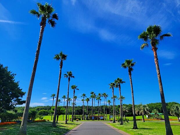 辻堂海浜公園　至近！季節ごとのイベント、夏にはジャンボプールで楽しく遊べます♪