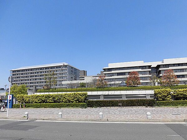 画像19:京大病院（1118m）