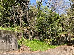 静岡県浜松市浜名区引佐町奥山