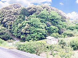 静岡県浜松市浜名区鷲沢町
