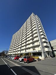 ライフ・イン・サーラ