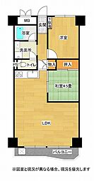 住吉カトレア