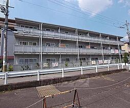 近鉄京都線 向島駅 徒歩10分の賃貸マンション