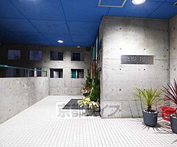 8 / 11