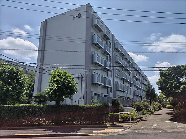 外観：313004478755