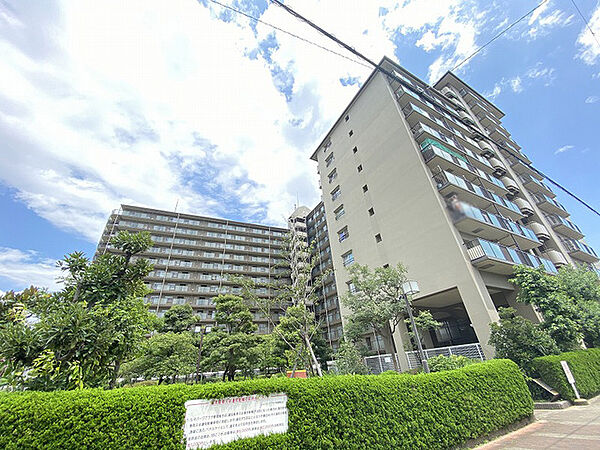 外観：327002205226