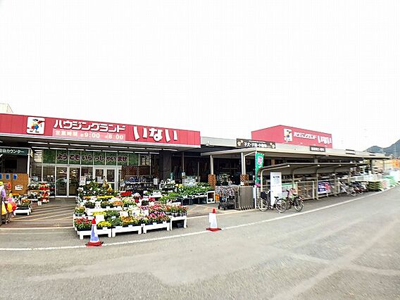 いない姫路東山...