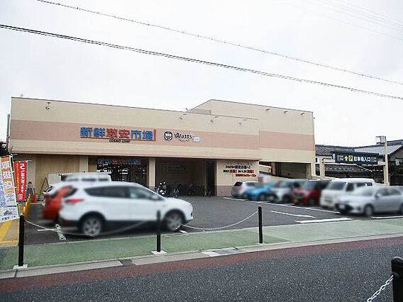 新鮮激安市場