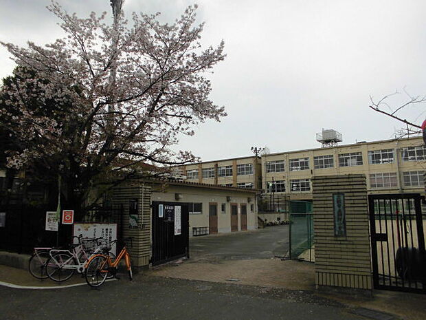 京都市立納所小学校