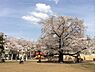 周辺：【公園】北区立南谷端公園まで689ｍ