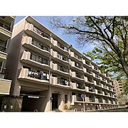 メゾンベール壱番館の賃貸物件