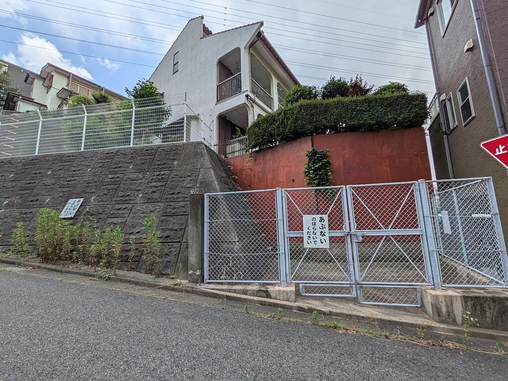 Image 41