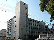 成徳グリーンハイツ 3階 築52年3ヶ月の賃貸物件