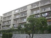 六甲駅より徒歩28分 5階 築47年6ヶ月の賃貸物件