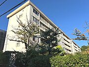 御影駅より徒歩11分 5階 築57年2ヶ月の賃貸物件