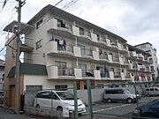ハイツサンフラワー 2階 築45年5ヶ月の賃貸物件