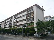 山御影マンションＡ棟 5階 築61年の賃貸物件