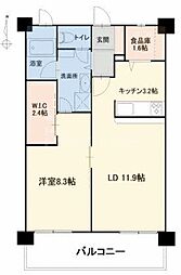 オアシスＧ棟 5階1LDKの間取り